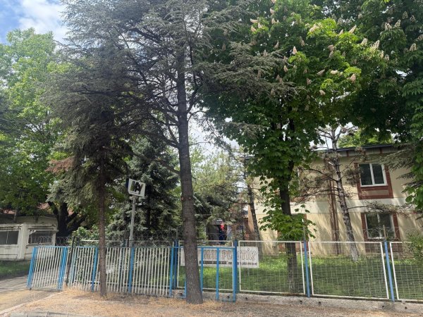 Anasayfa:Hakkımızda Yazısı